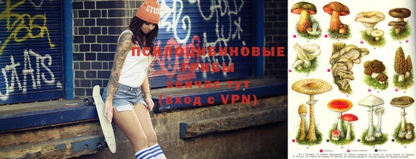 амф Пестово