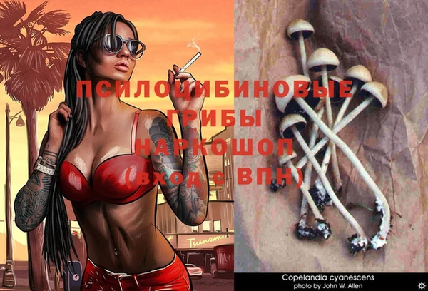 МДПВ Беломорск